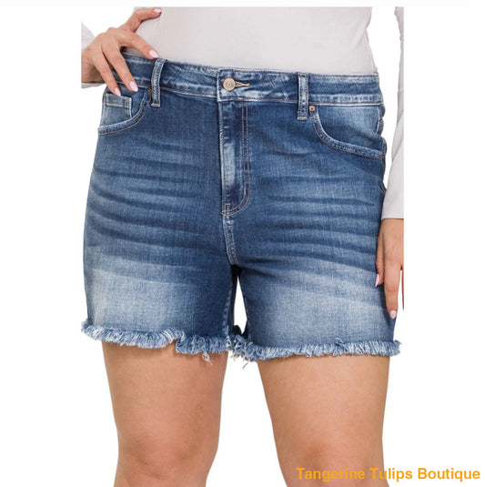 The Surfside Plus Shorts